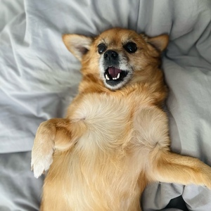 Fundraising Page: Ella Warren